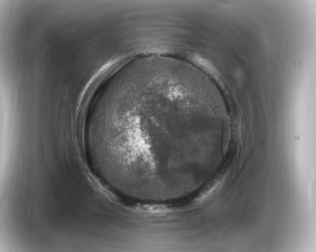 X0000085770395200703161147