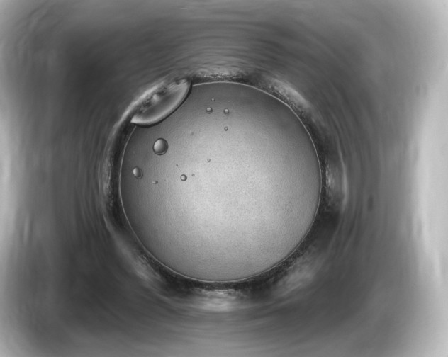 X0000085770396200703161147