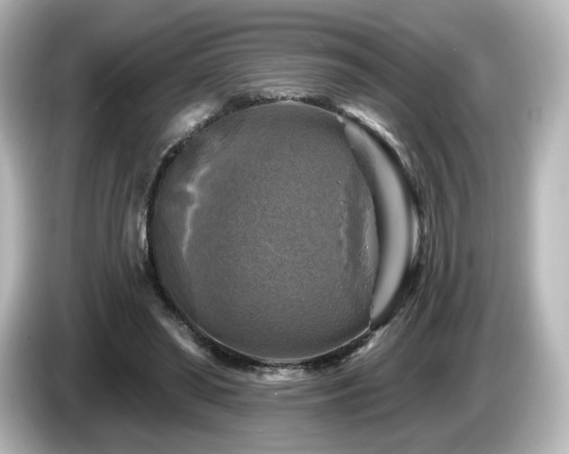 X0000085770398200703161147