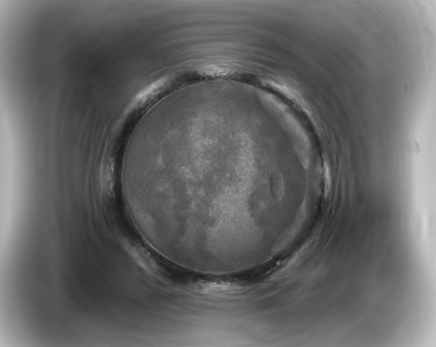 X0000085770400200703161147