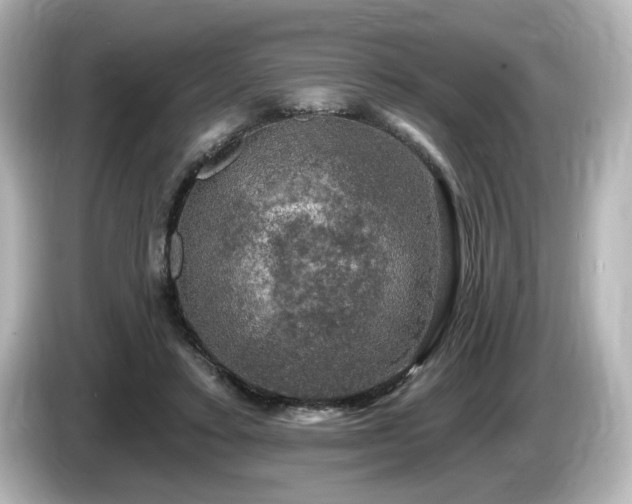 X0000085770403200703161147