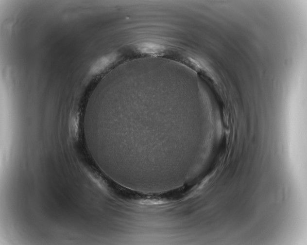 X0000085770404200703161147