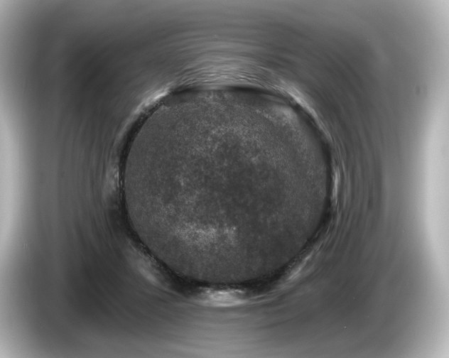 X0000085770407200703161147