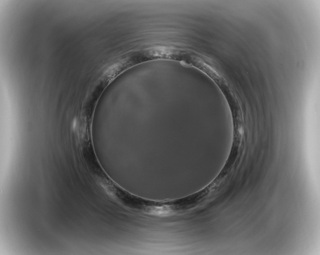 X0000085770411200703161147