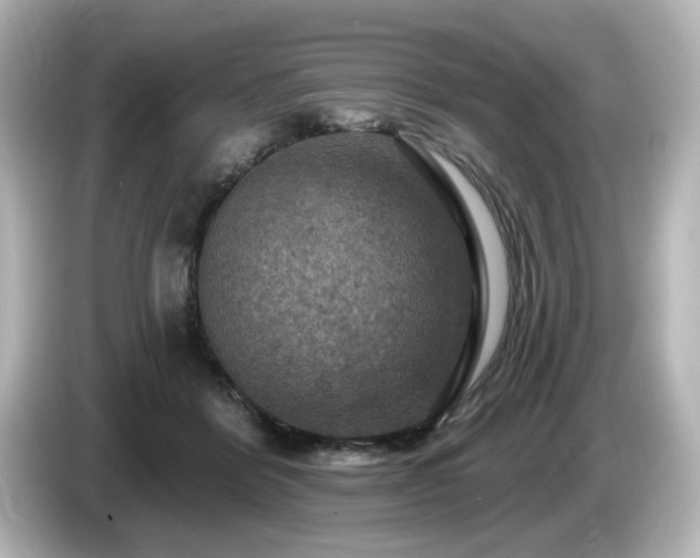 X0000085770412200703161147