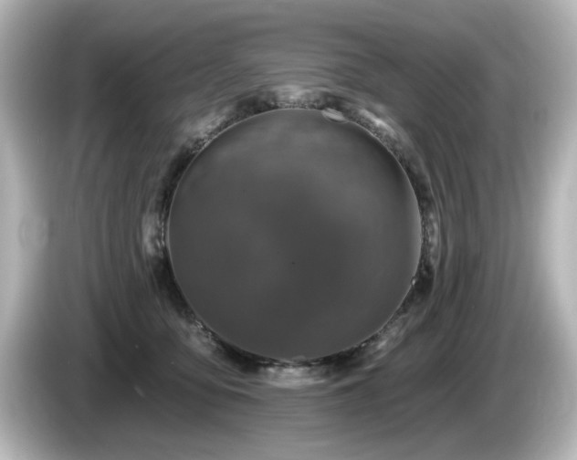 X0000085770419200703161147