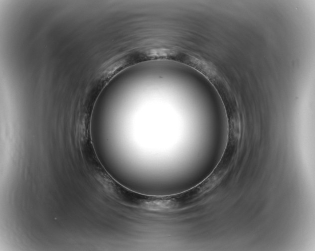 X0000085770422200703161147