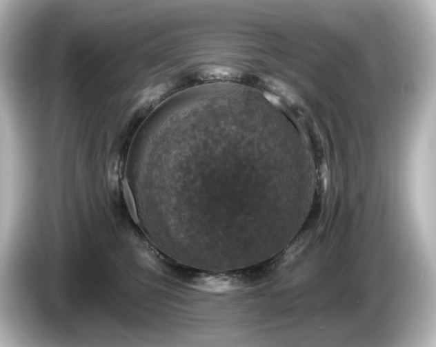 X0000085770423200703161147