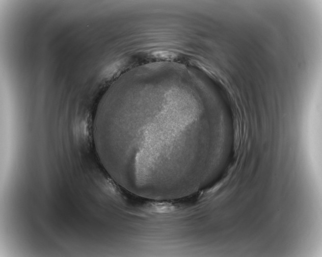 X0000085770424200703161147