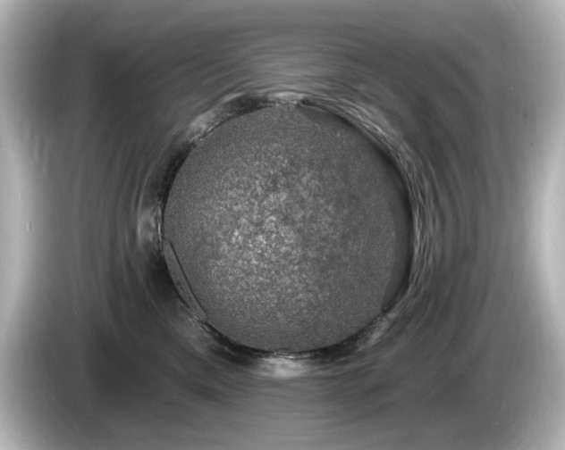 X0000085770425200703161147