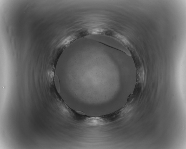 X0000085770427200703161147