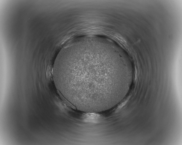 X0000085770429200703161147