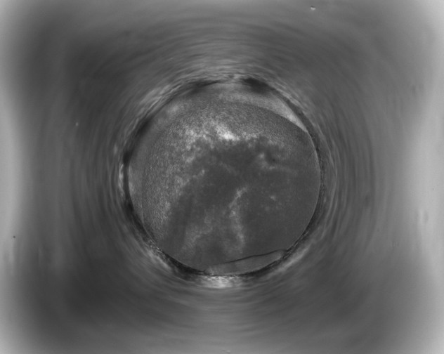 X0000085770432200703161147