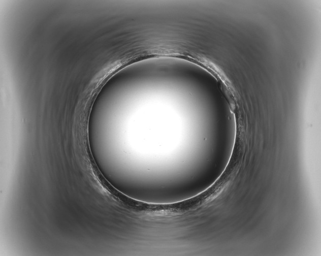 X0000085770433200703161146