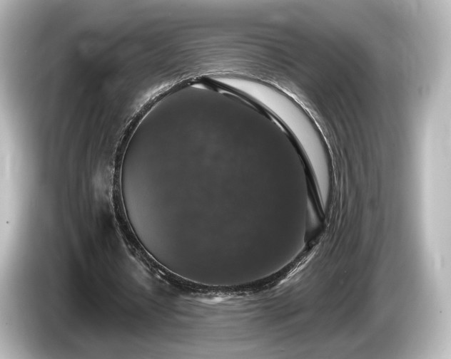 X0000085770434200703161146