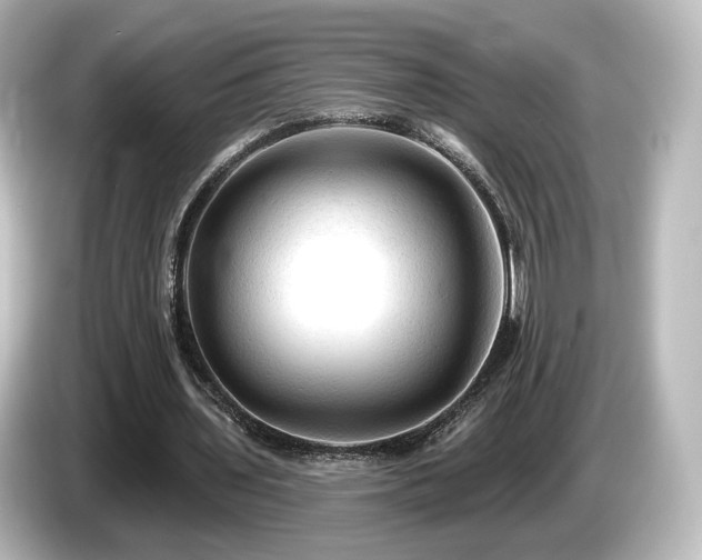 X0000085770435200703161146