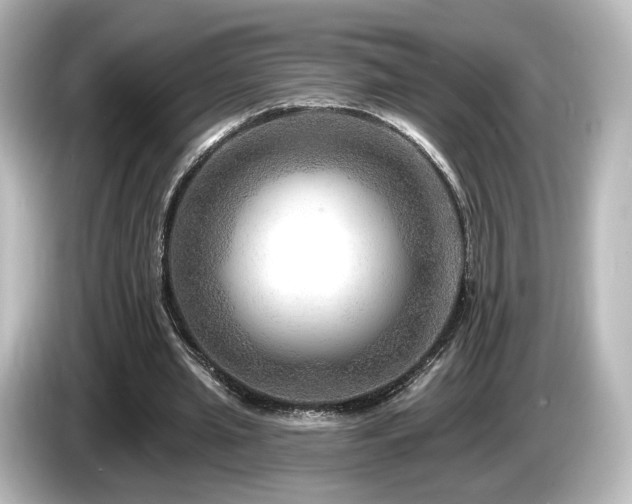 X0000085770437200703161146