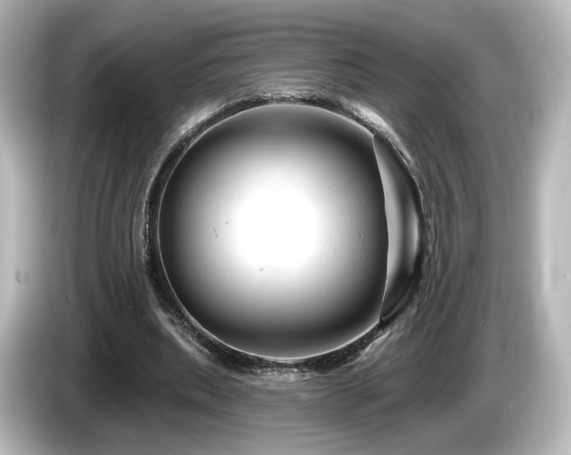 X0000085770439200703161146