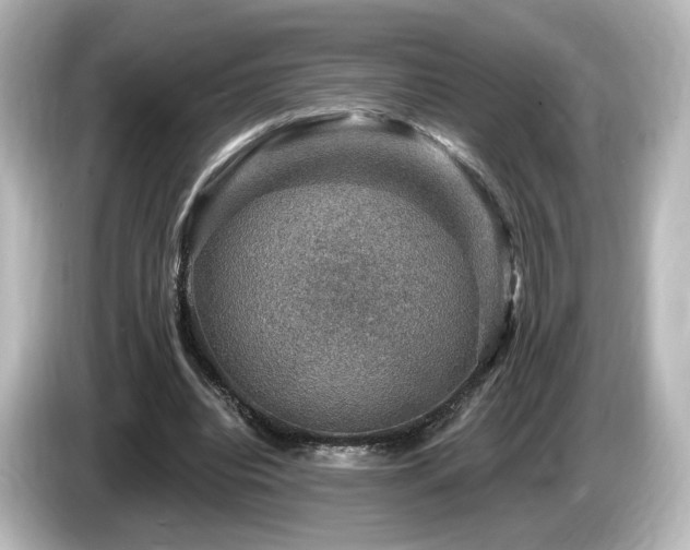 X0000085770440200703161146