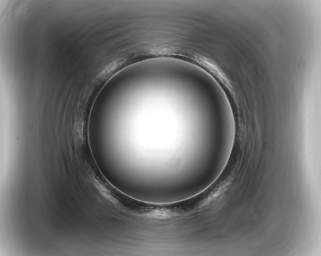 X0000085770441200703161146