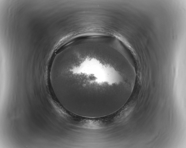 X0000085770442200703161146