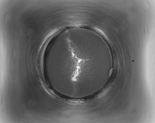 X0000085770443200703161146