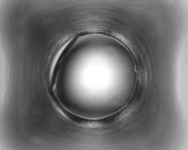 X0000085770445200703161146