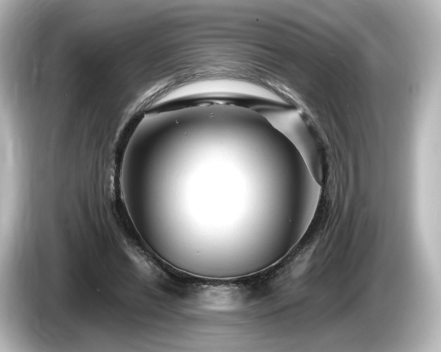 X0000085770446200703161146