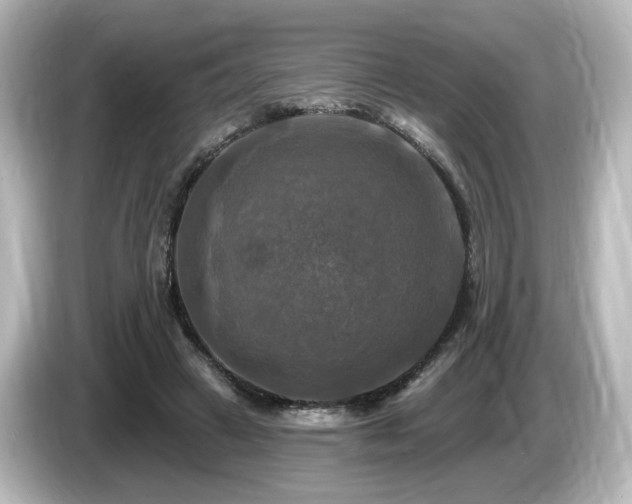 X0000085770449200703161146