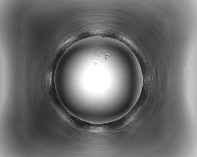 X0000085770454200703161147