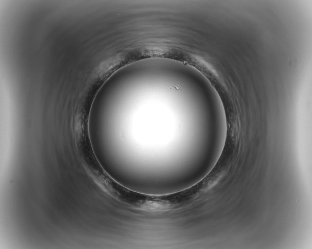 X0000085770455200703161147