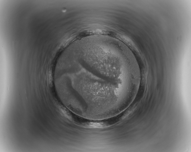 X0000085770457200703161147