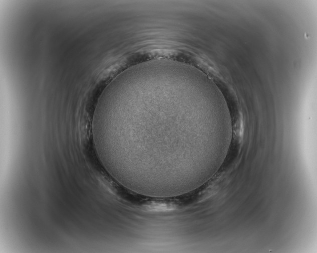 X0000085770464200703161147