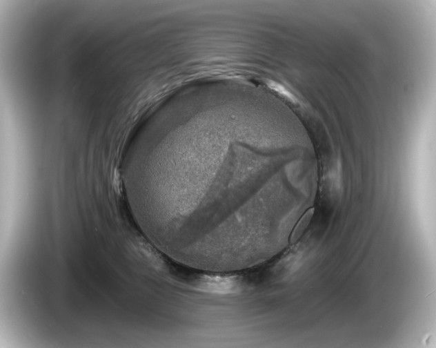 X0000085770469200703161147