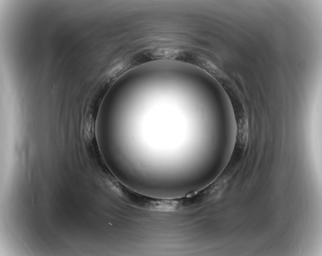 X0000085770474200703161147