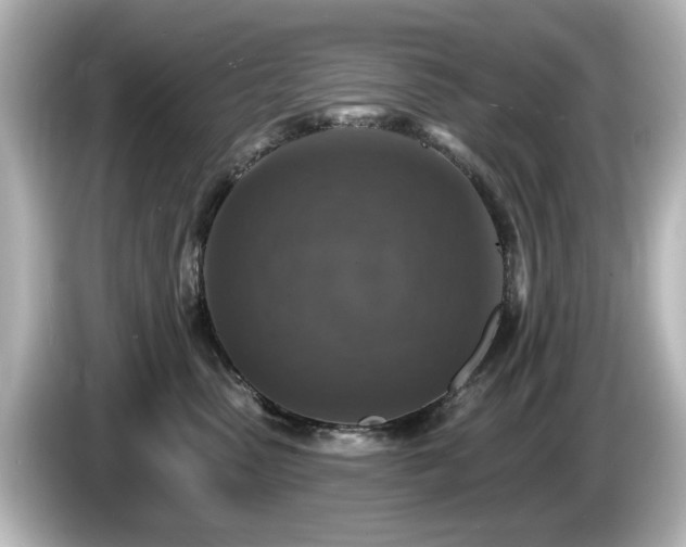 X0000085770475200703161147