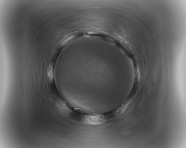 X0000085770479200703161147