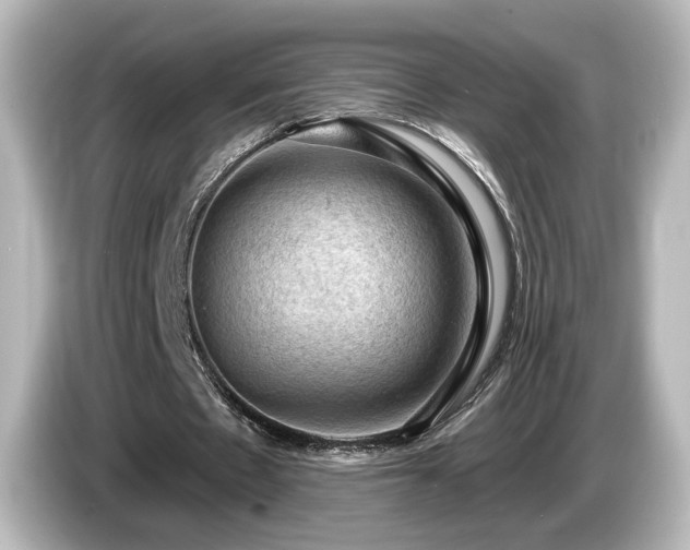 X0000085770481200703161146