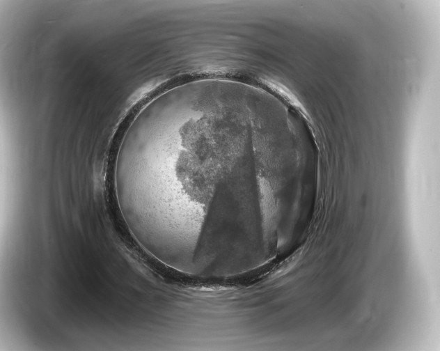 X0000085770483200703161146