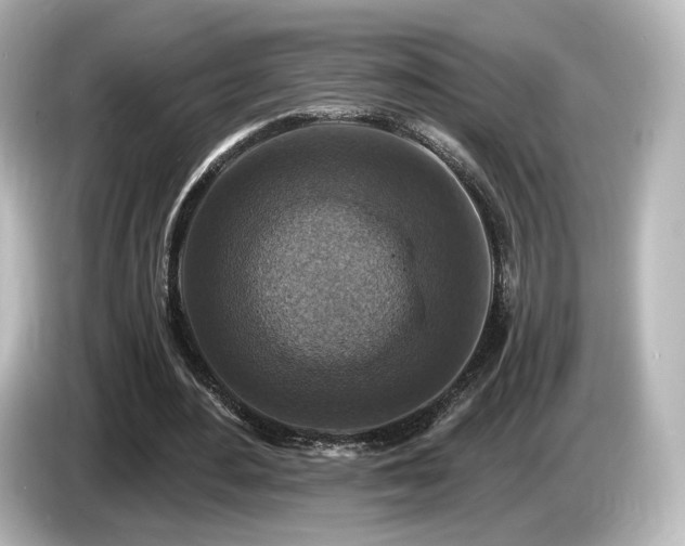 X0000085770484200703161146