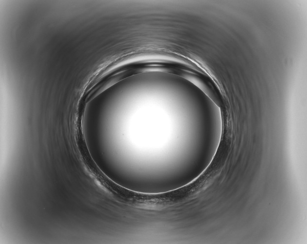 X0000085770485200703161146