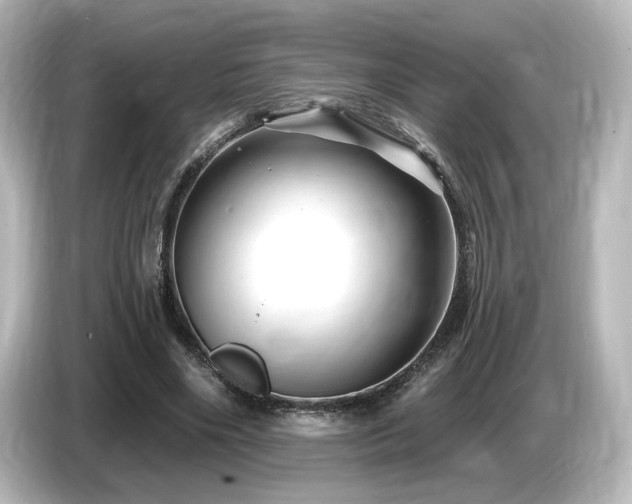 X0000085770490200703161146