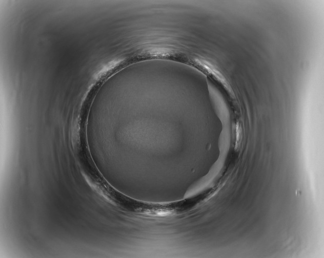 X0000085770492200703161146