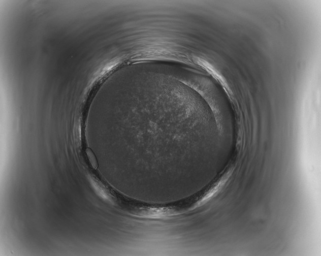 X0000085770493200703161146