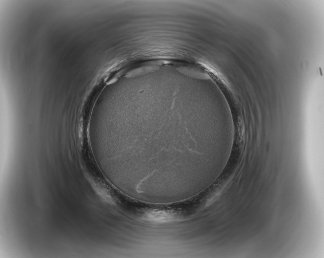 X0000085770494200703161146