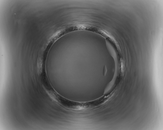 X0000085770496200703161146