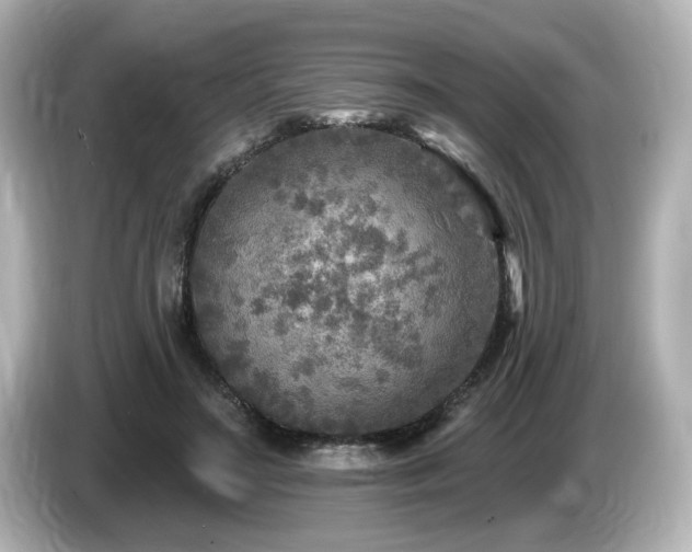 X0000085770499200703161146