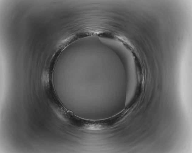 X0000085770500200703161146