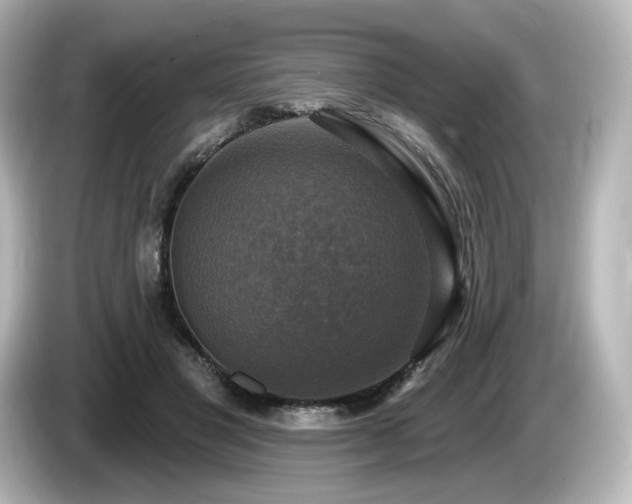 X0000085770501200703161146