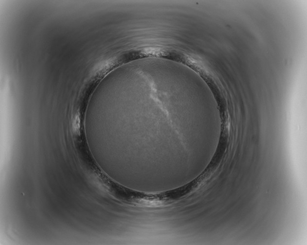 X0000085770502200703161146